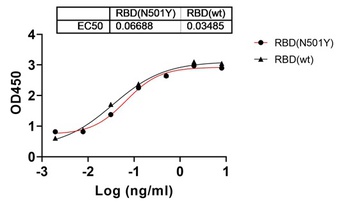 SARS-CoV-2 (COVID-19) S protein RBD antibody [F3C10]