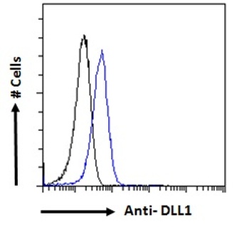DLL1 Antibody