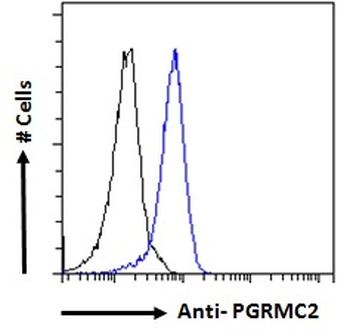 PGRMC2 Antibody