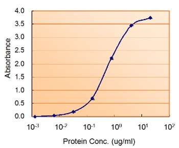 COMT Antibody