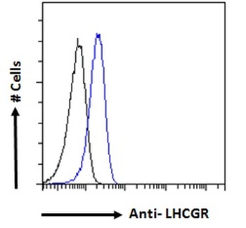 AGTR1 Antibody
