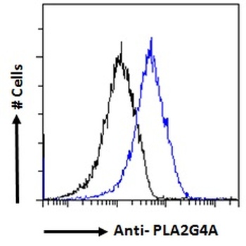 TIPRL Antibody