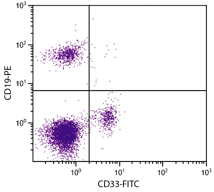 CD33 Antibody (FITC)