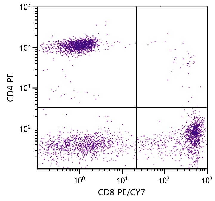 CD8A Antibody (PE/Cy7)