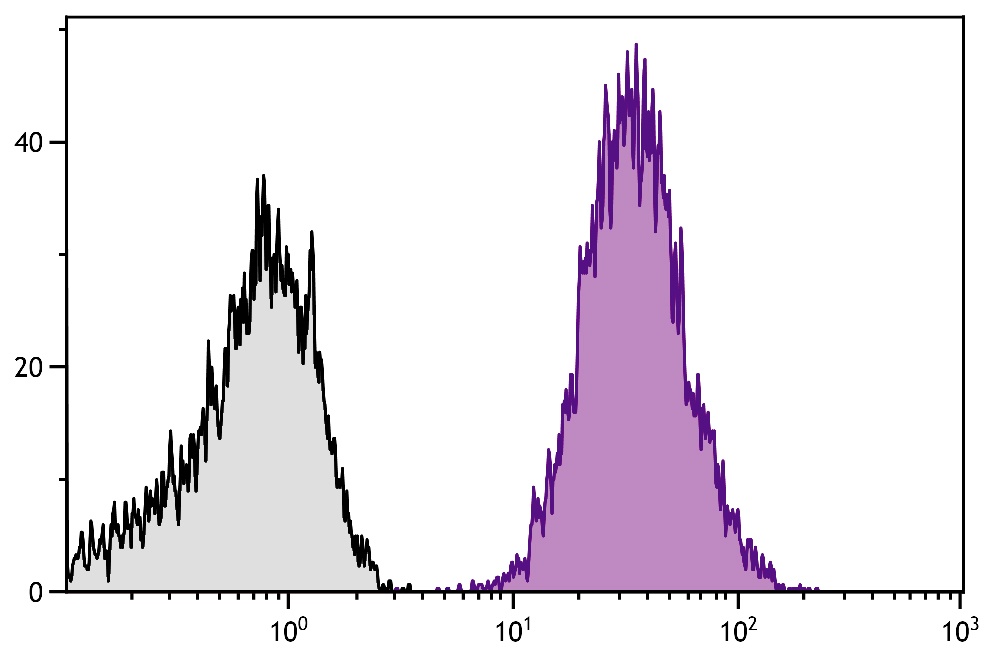 CD61 Antibody [PM6/13] (PE)
