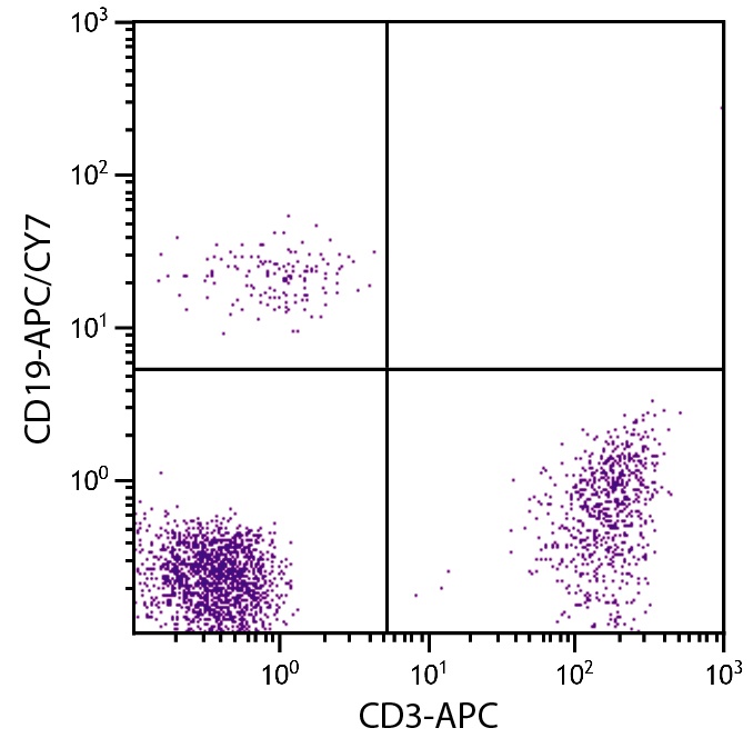 CD19 Antibody (APC/Cy7)