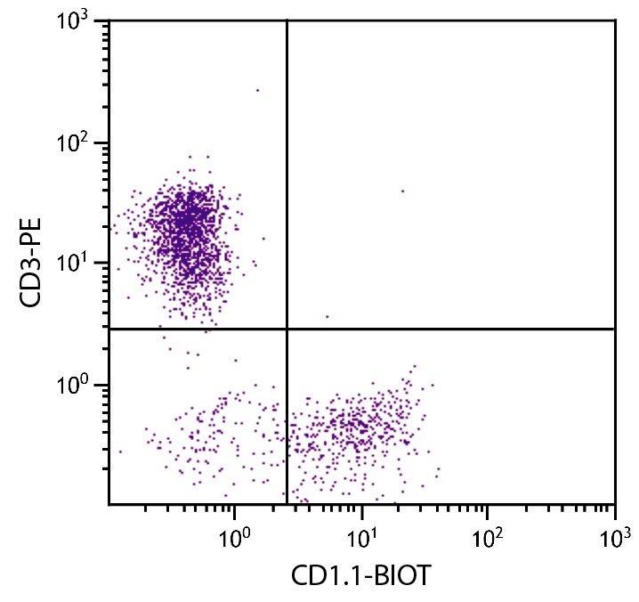 CD1C Antibody (Biotin)