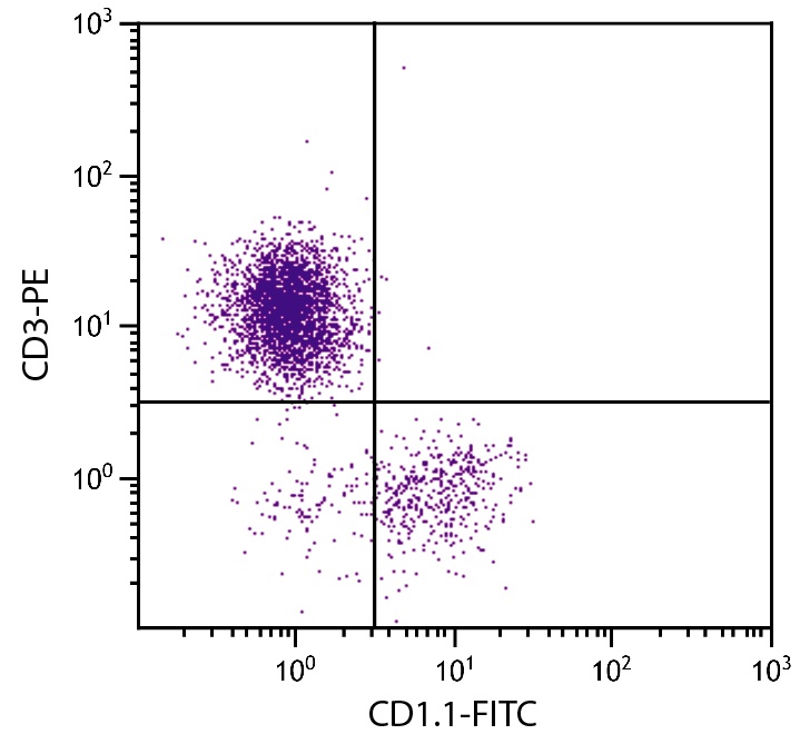 CD1C Antibody (FITC)