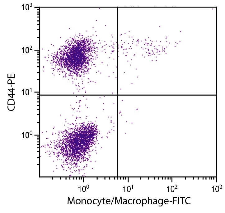 Monocyte/Macrophage Antibody [KUL01] (FITC)
