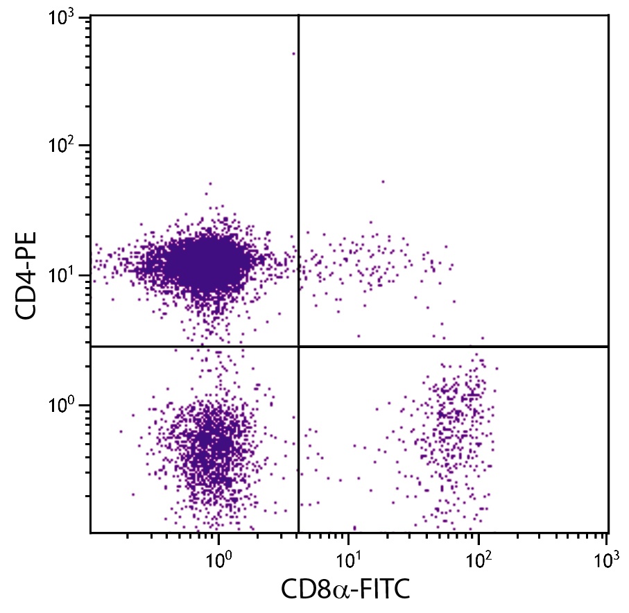 CD8A Antibody (FITC)