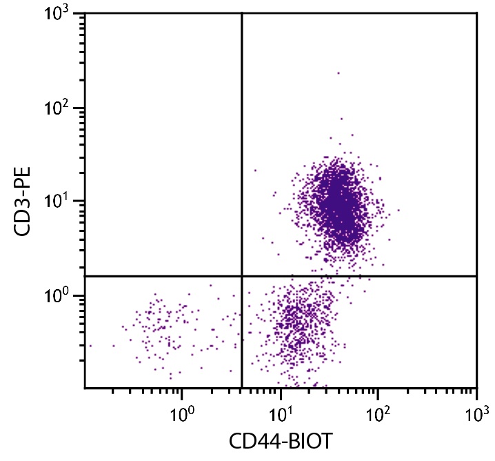 CD44 Antibody (Biotin)