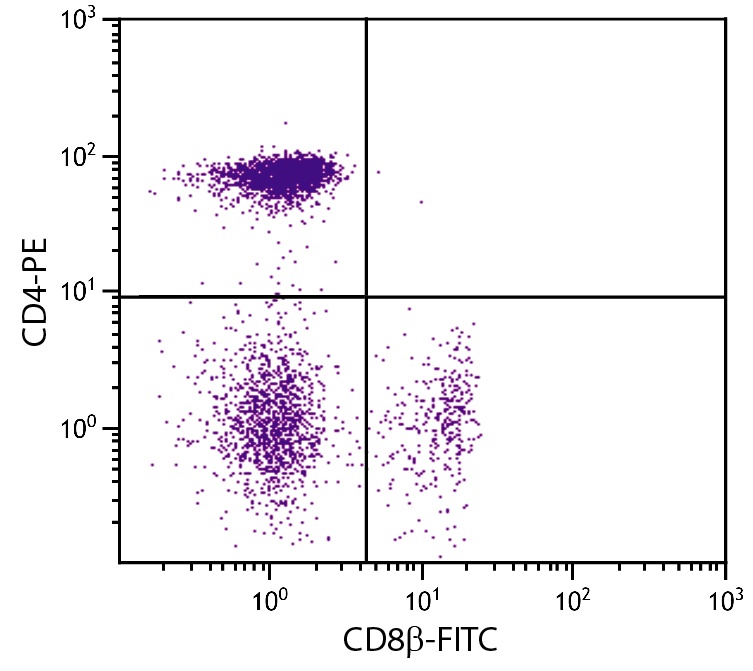 CD8B Antibody (FITC)