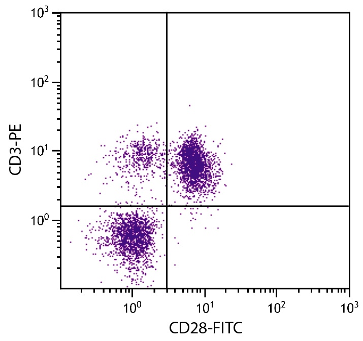CD28 Antibody (FITC)
