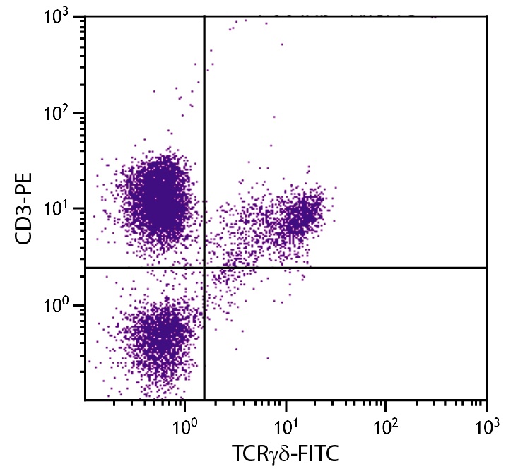TCRgd Antibody [TCR-1] (FITC)