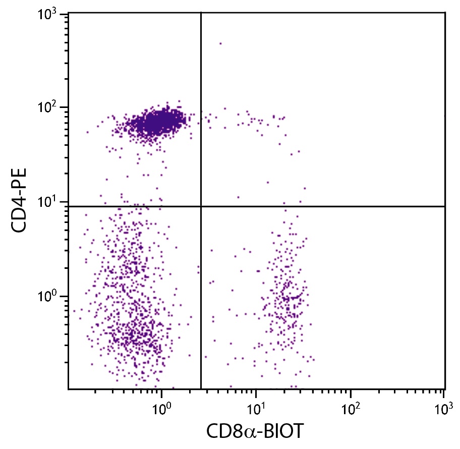 CD8A Antibody (Biotin)