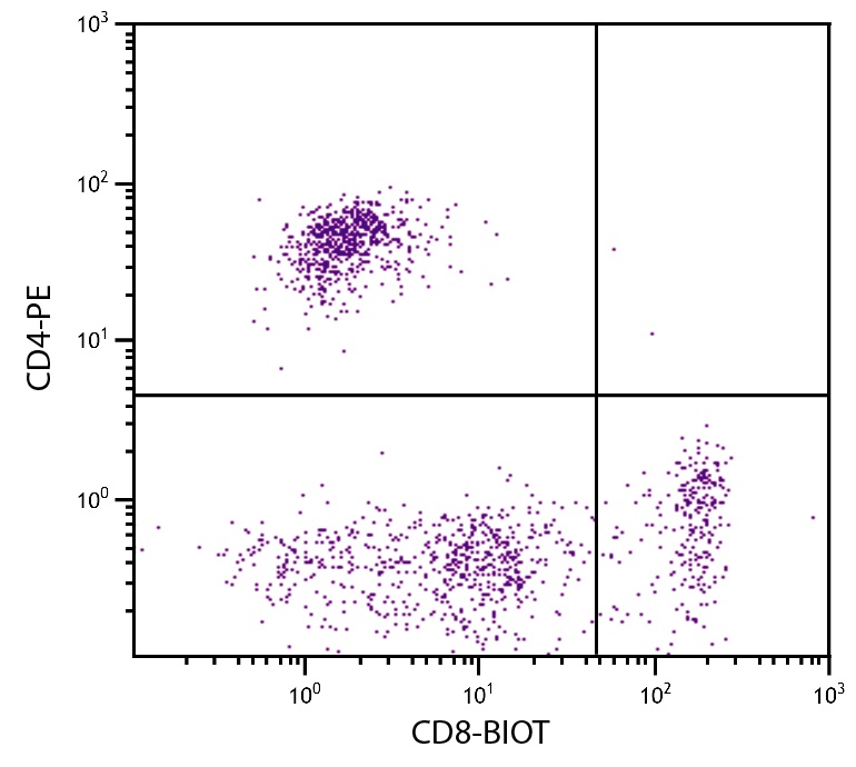 CD8 Antibody [fCD8] (Biotin)