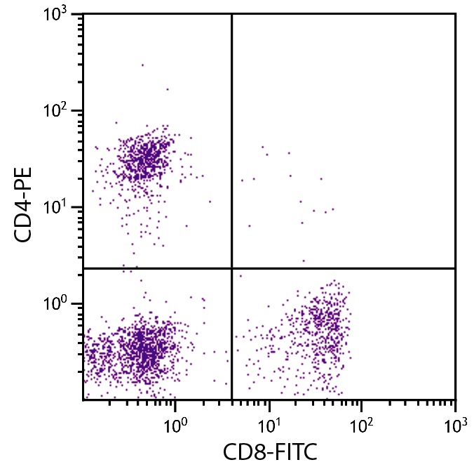 CD8B Antibody (FITC)