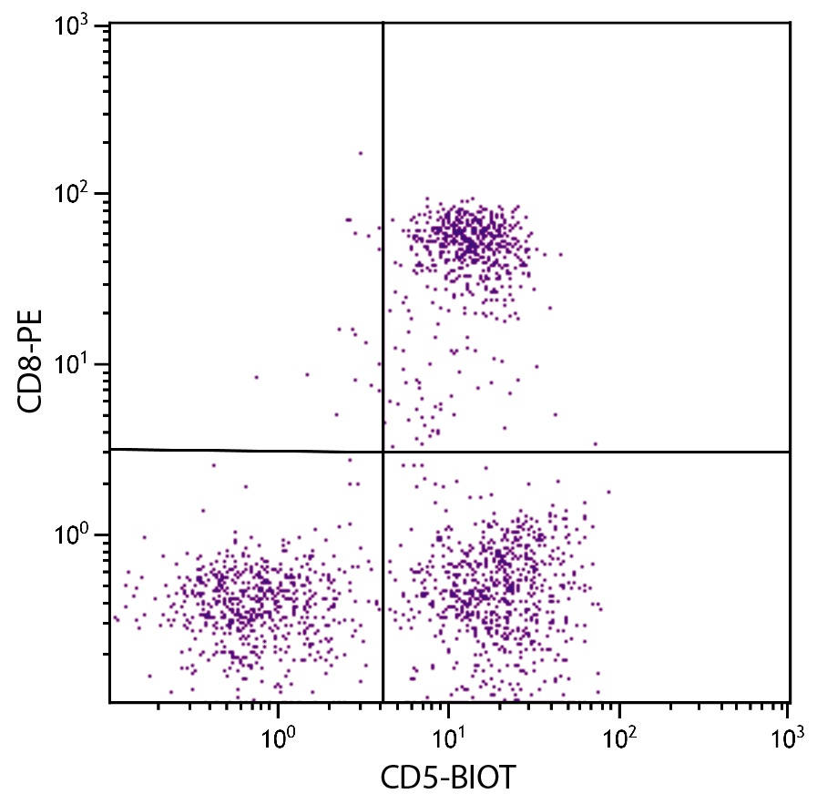 CD5 Antibody (Biotin)