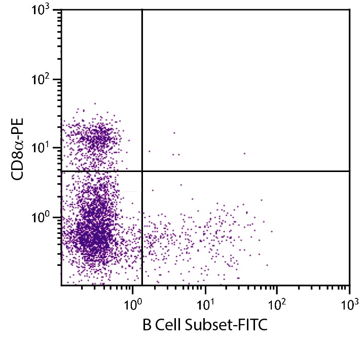 B Cell Subset Antibody [BB6-10A10] (FITC)