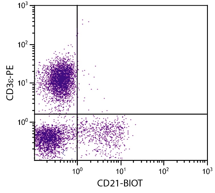 CD21 Antibody [BB6-11C9.6] (Biotin)