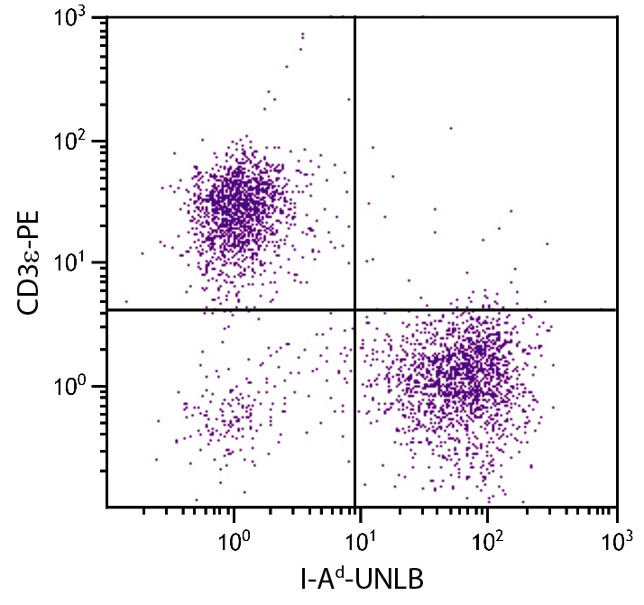 I-Ad Antibody [34-5-3]