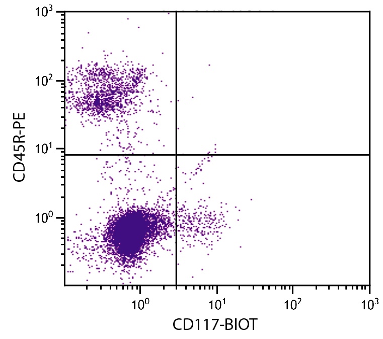Kit Antibody (Biotin)