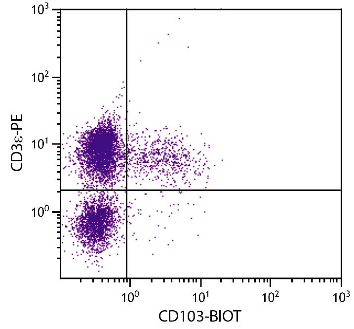 CD103 Antibody [2E7] (Biotin)