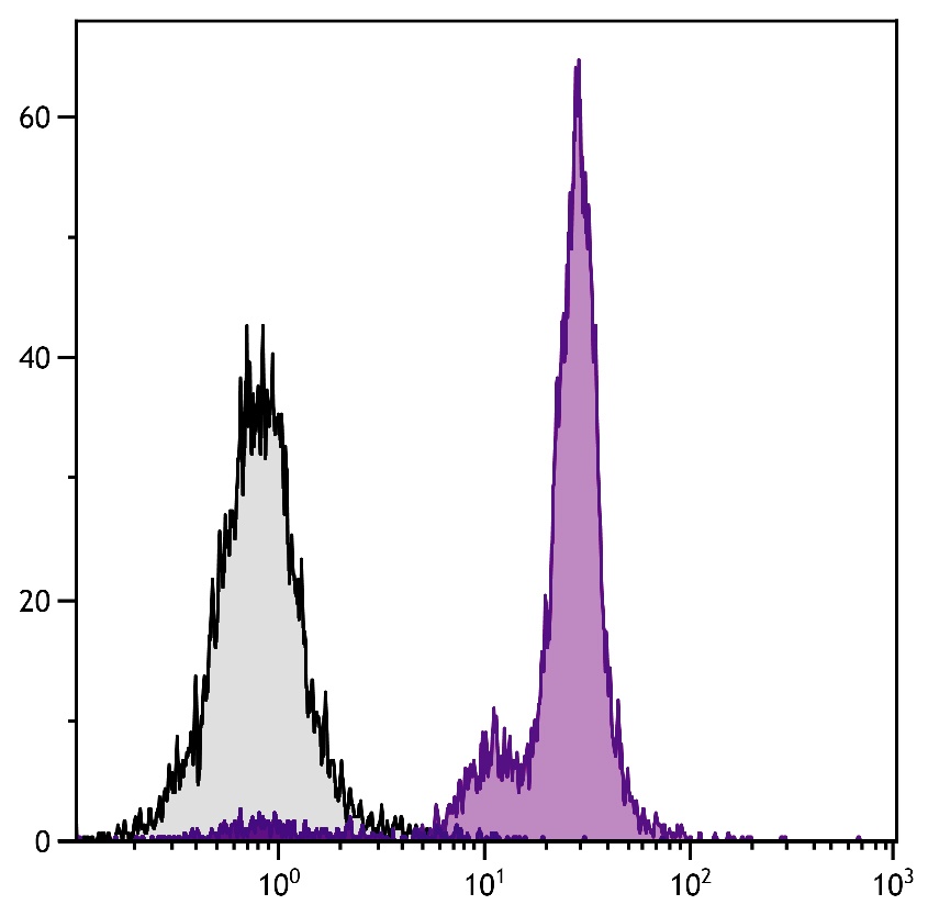 Ptprc Antibody (Biotin)