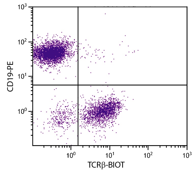 Tcrb Antibody (Biotin)