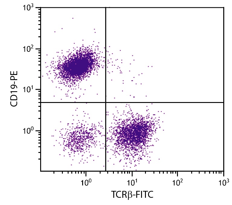 Tcrb Antibody (FITC)