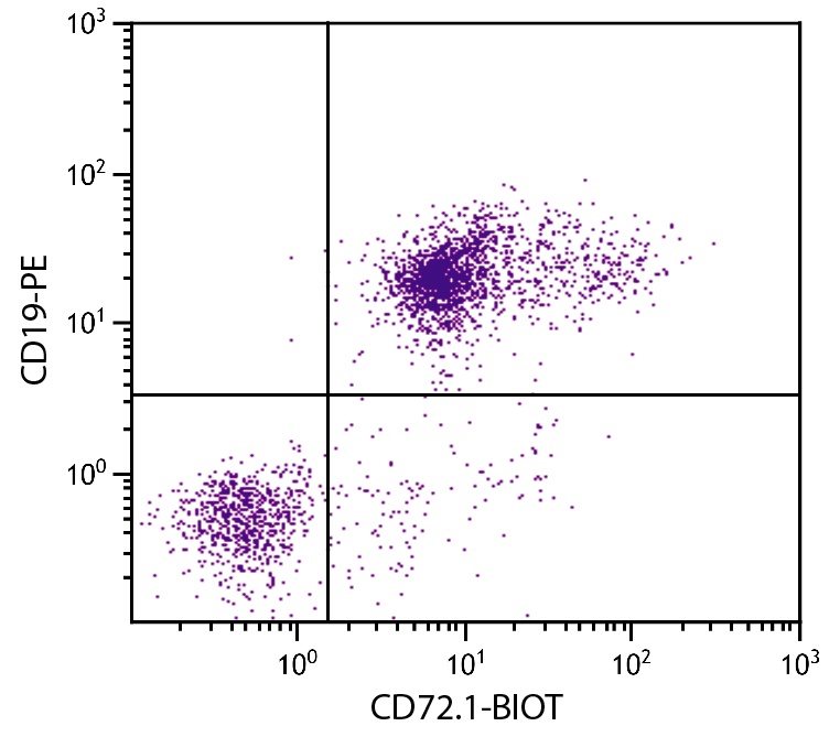 Cd72 Antibody (Biotin)