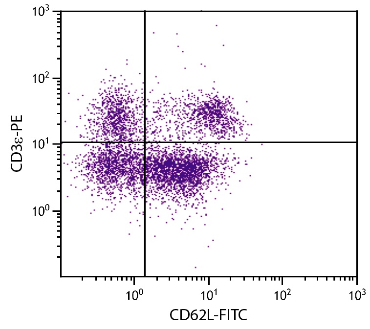 CD62L Antibody [MEL-14] (FITC)