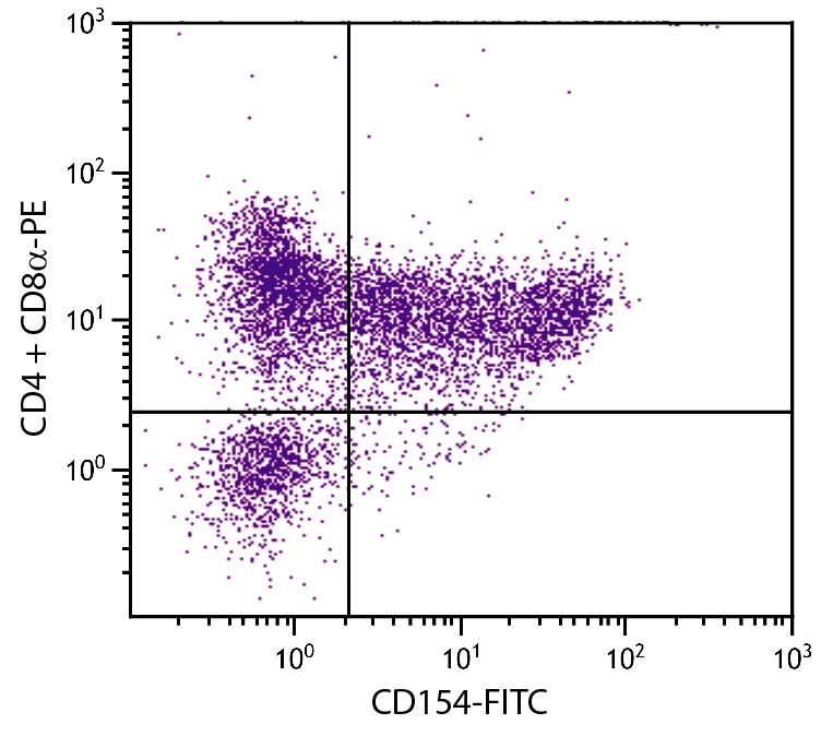 Cd40lg Antibody (FITC)