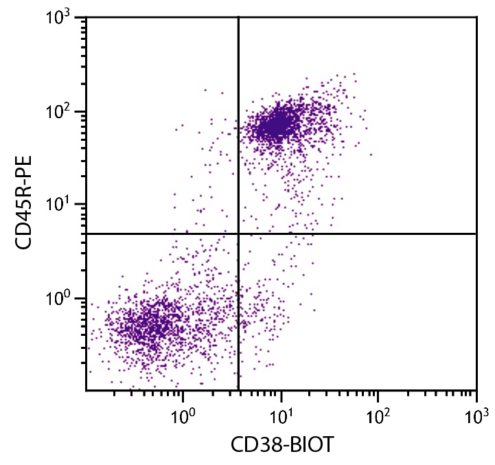 Cd38 Antibody (Biotin)