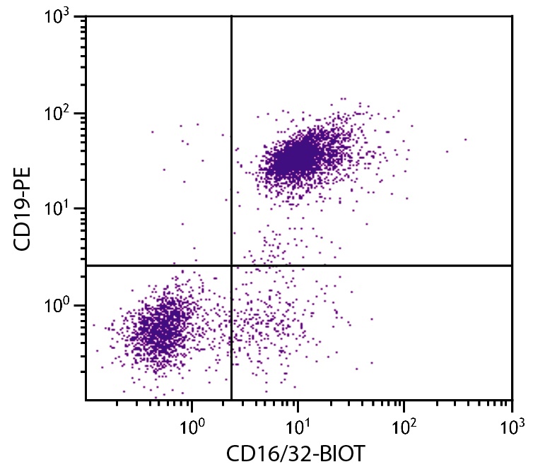 CD16/32 Antibody [93] (Biotin)