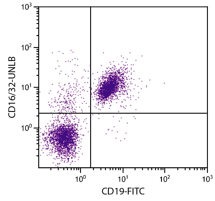 CD16/32 Antibody [93]