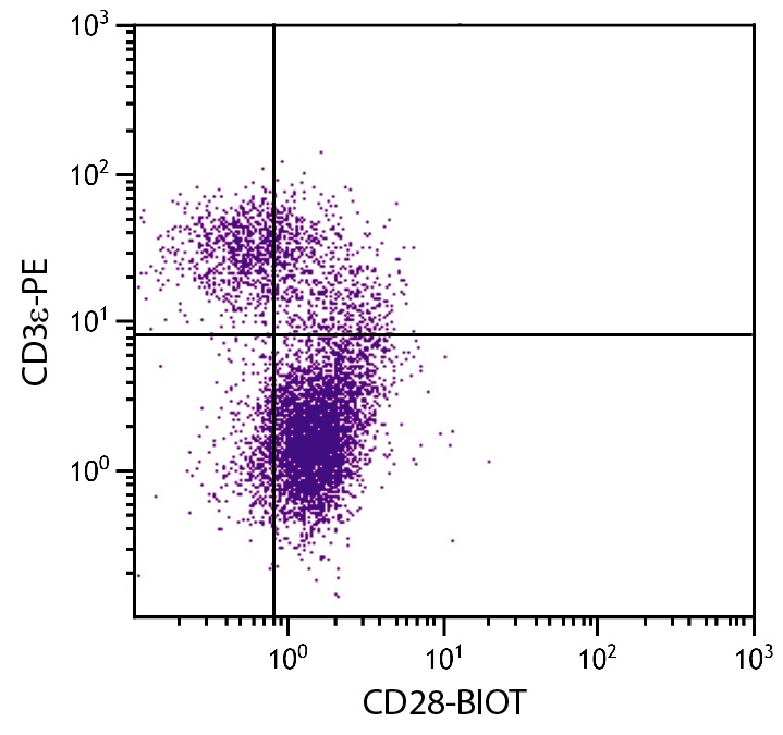 Cd28 Antibody (Biotin)