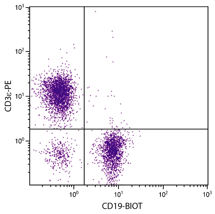 CD19 Antibody [6D5] (Biotin)