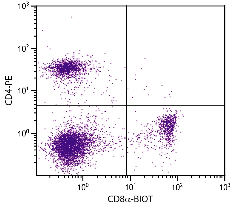Cd8a Antibody (Biotin)