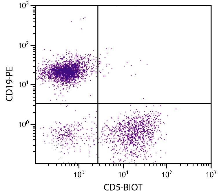 Cd5 Antibody (Biotin)