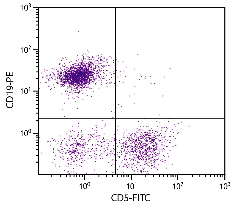 Cd5 Antibody (FITC)