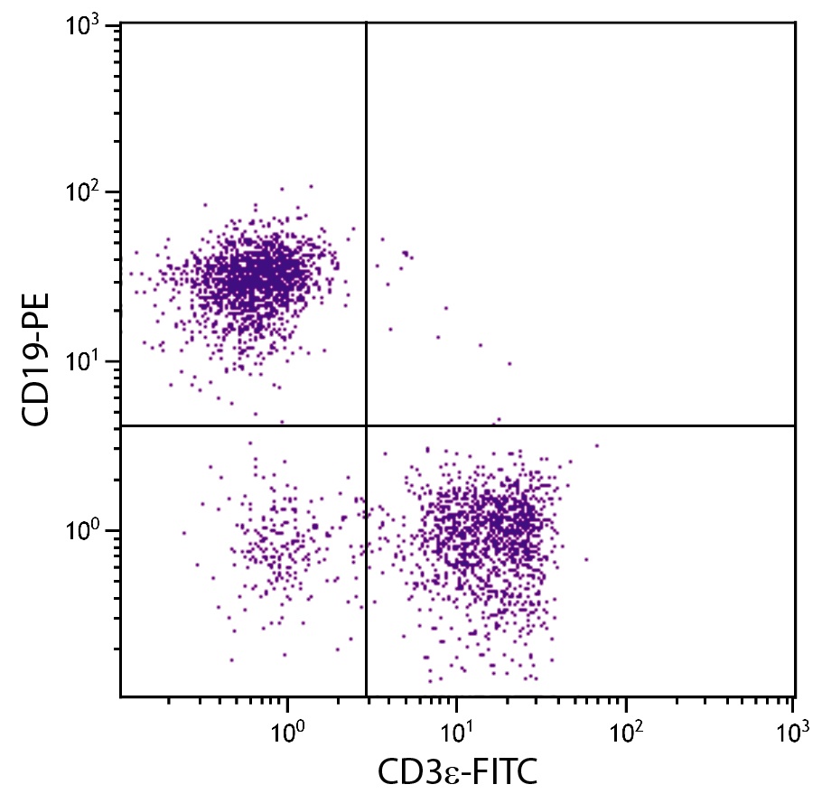 Cd3e Antibody (FITC)