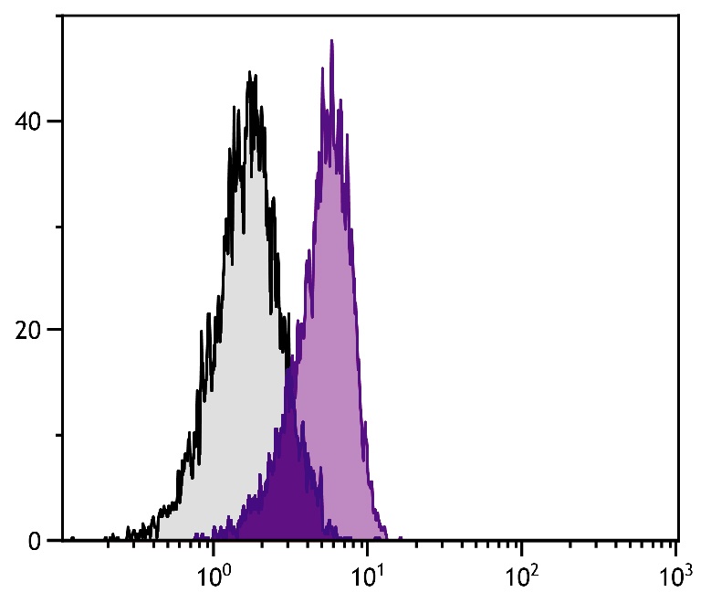 IL-10 Antibody [JES5-16E3] (FITC)