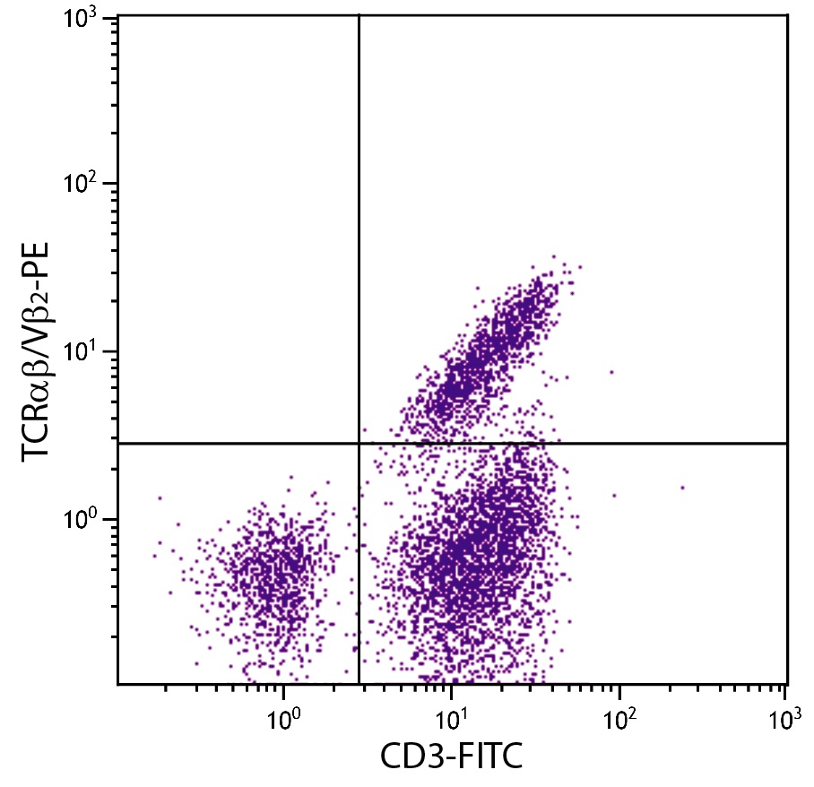 TCRab/Vb2 Antibody [TCR-3] (PE)