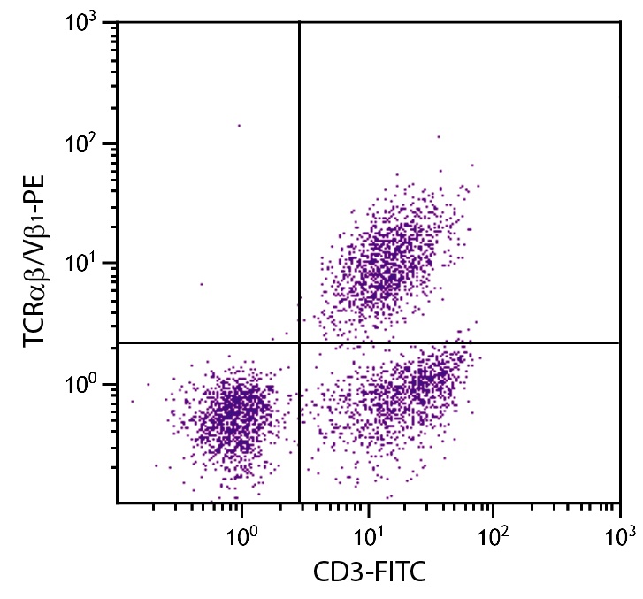 TCRab/Vb1 Antibody [TCR-2] (PE)