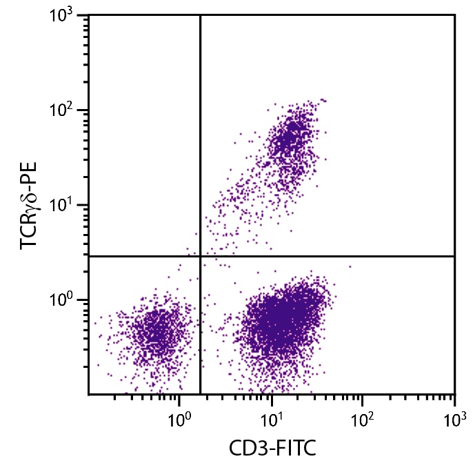 TCRgd Antibody [TCR-1] (PE)