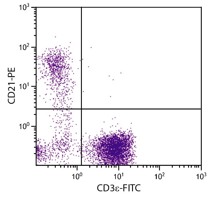 CD21 Antibody [BB6-11C9.6] (PE)