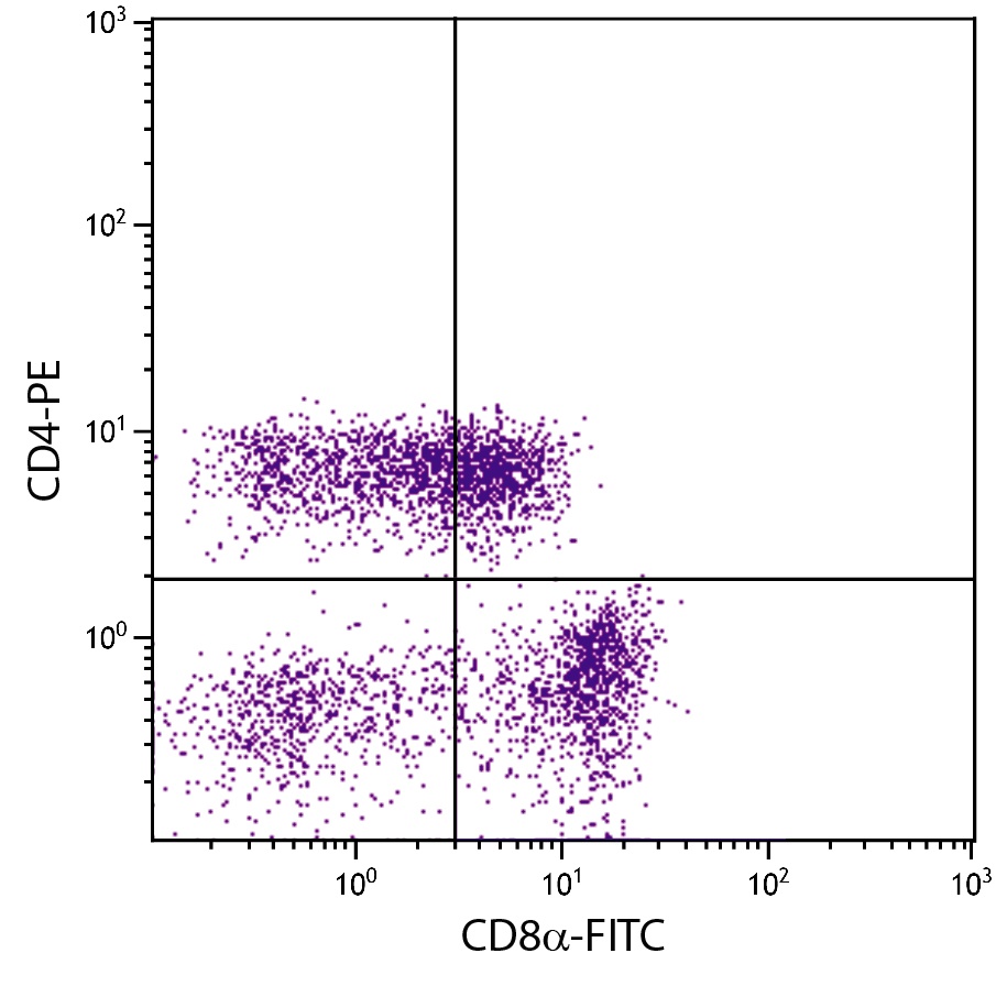 CD4 Antibody (PE)