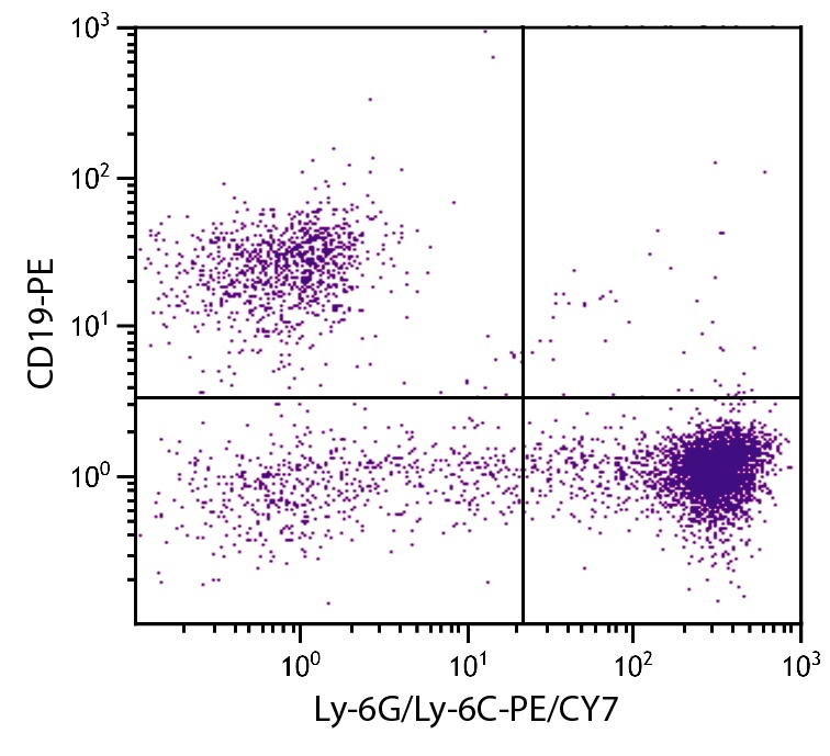 Ly6g Antibody (PE/Cy7)