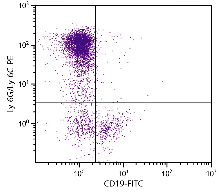 Ly-6G/Ly-6C Antibody [RB6-8C5] (PE)